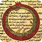 ciclo delle nascite e delle morti